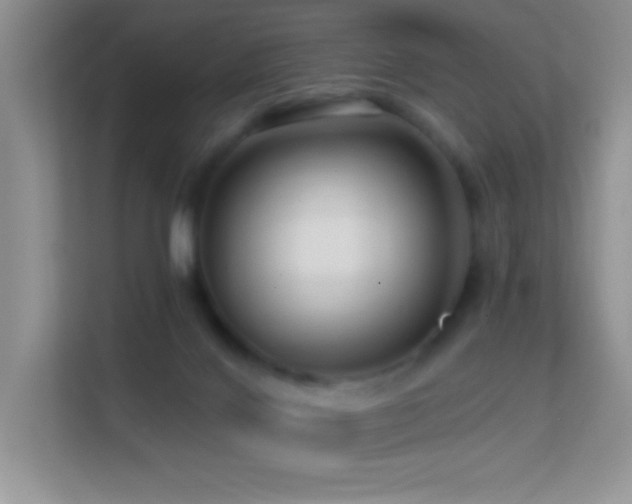 X0000113580028200909251204