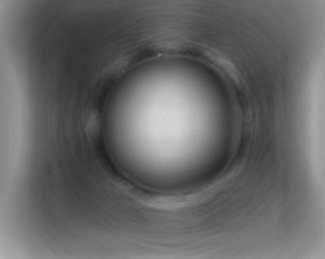 X0000113580029200909251204