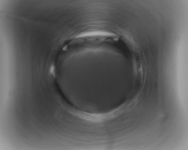 X0000113580031200909251204