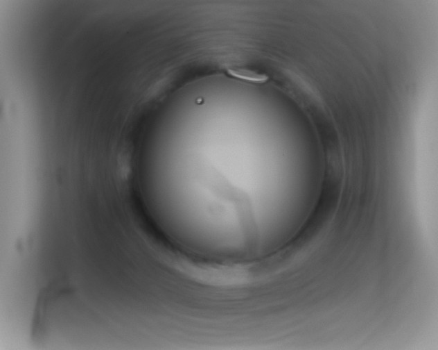 X0000113580032200909251204