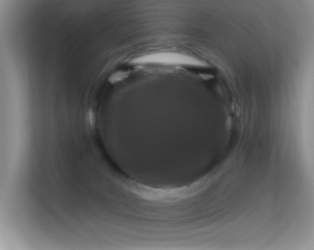 X0000113580035200909251204