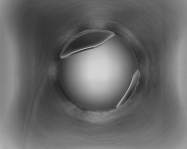 X0000113580037200909251204