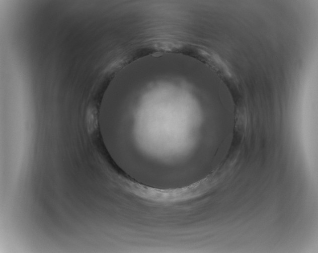 X0000113580043200909251204