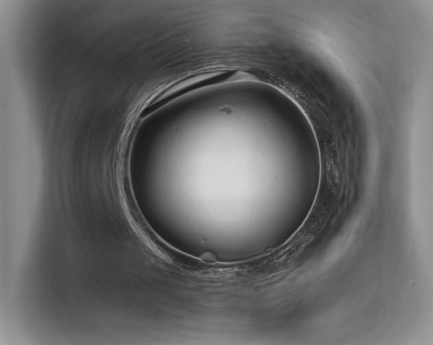 X0000113580049200909251203