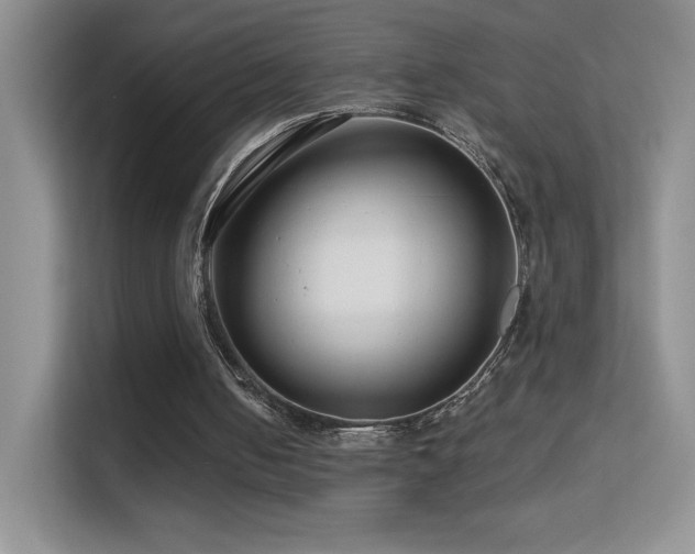 X0000113580050200909251203