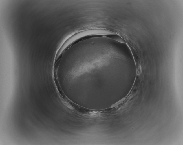 X0000113580052200909251204