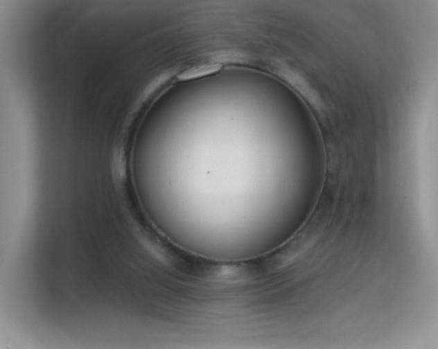 X0000113580060200909251204