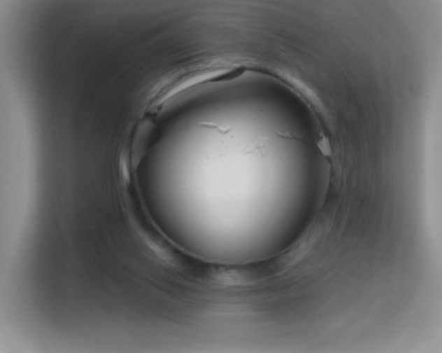 X0000113580062200909251204