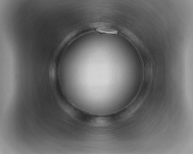 X0000113580064200909251204