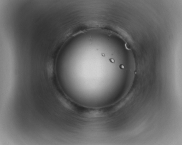 X0000113580065200909251204