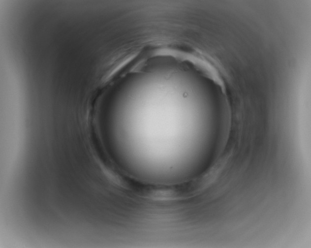 X0000113580066200909251204