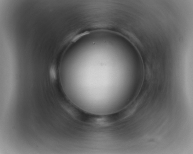 X0000113580068200909251204