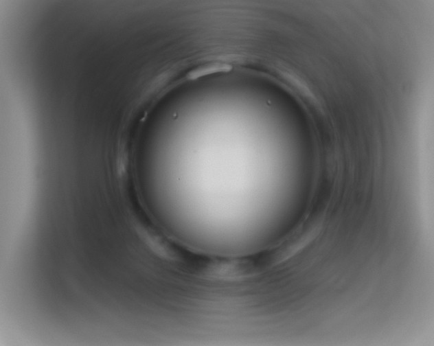 X0000113580072200909251204