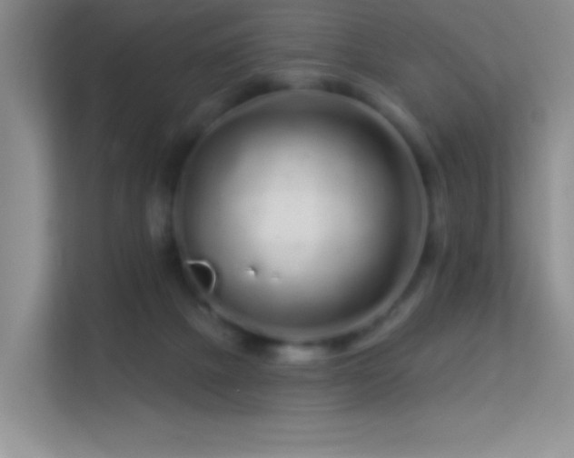 X0000113580073200909251204