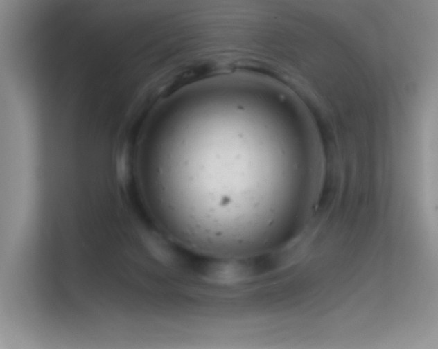 X0000113580074200909251204