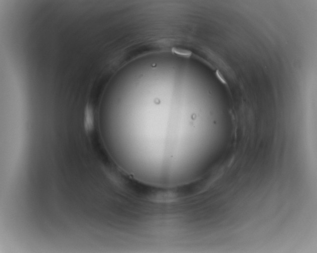 X0000113580075200909251204