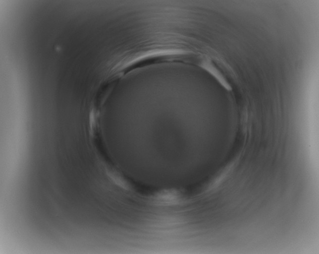 X0000113580076200909251204