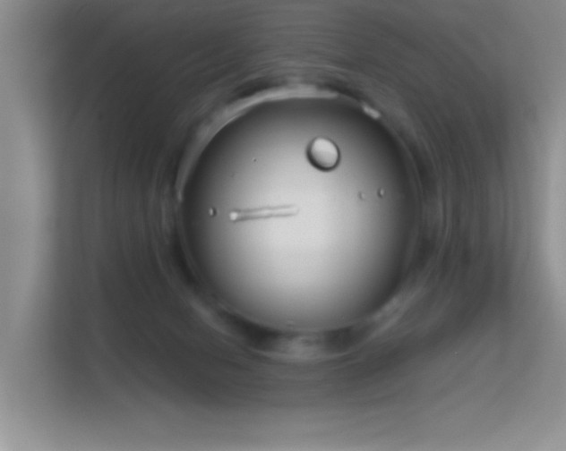 X0000113580078200909251204