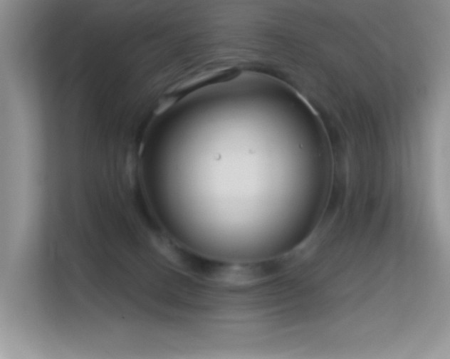 X0000113580082200909251204