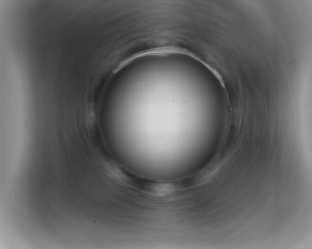 X0000113580085200909251204