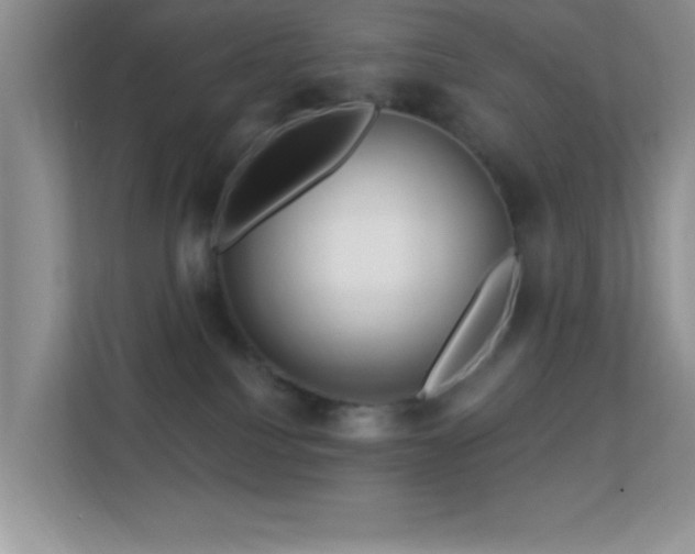 X0000113580088200909251204