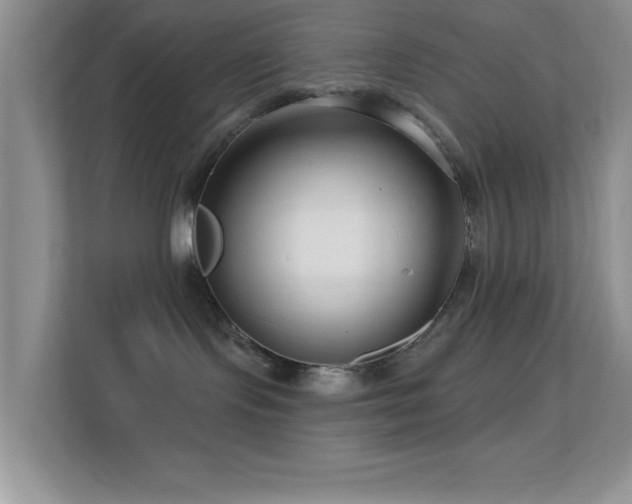 X0000113580095200909251204