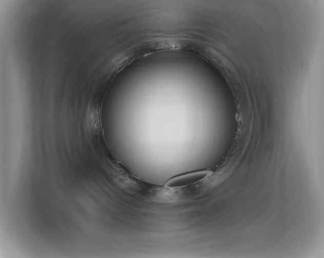 X0000113580096200909251204