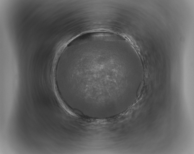 X0000113580097200909251203