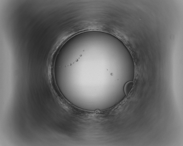 X0000113580098200909251203