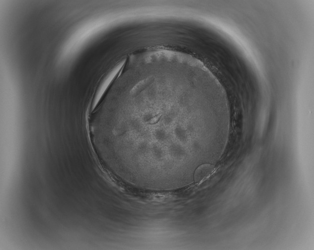 X0000113580099200909251203