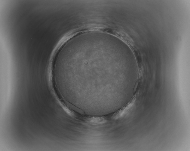 X0000113580101200909251203