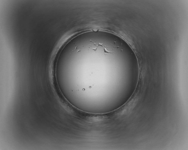 X0000113580103200909251203