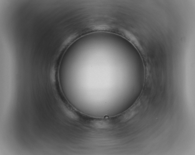 X0000113580106200909251203