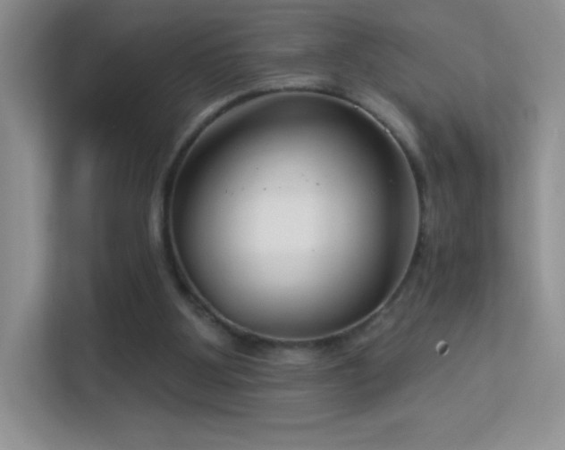 X0000113580107200909251203