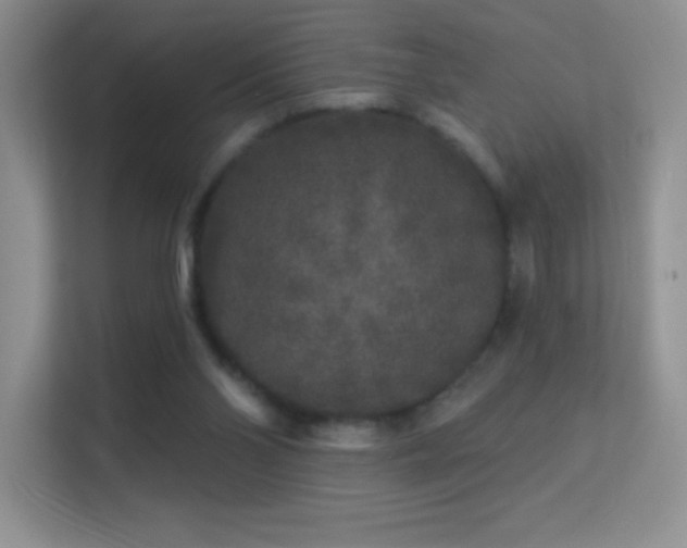 X0000113580110200909251203