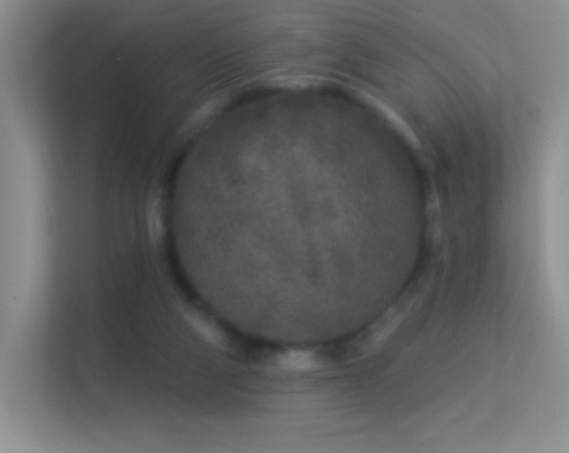 X0000113580114200909251203