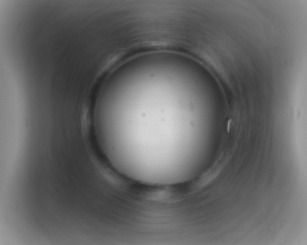 X0000113580116200909251203