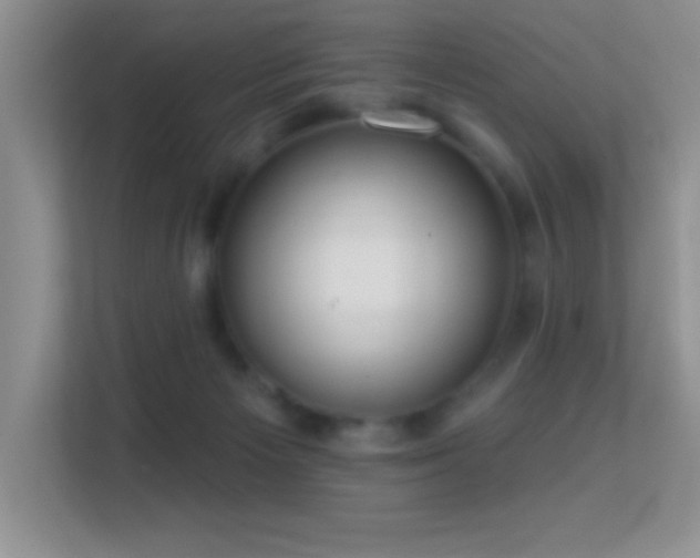 X0000113580125200909251203