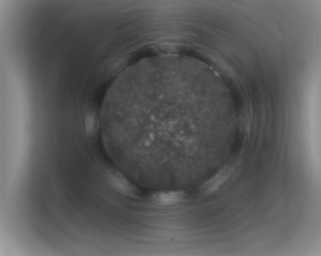 X0000113580134200909251203