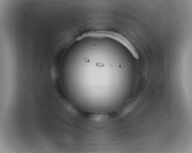 X0000113580135200909251203