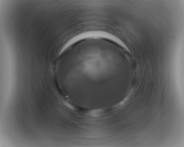 X0000113580136200909251203