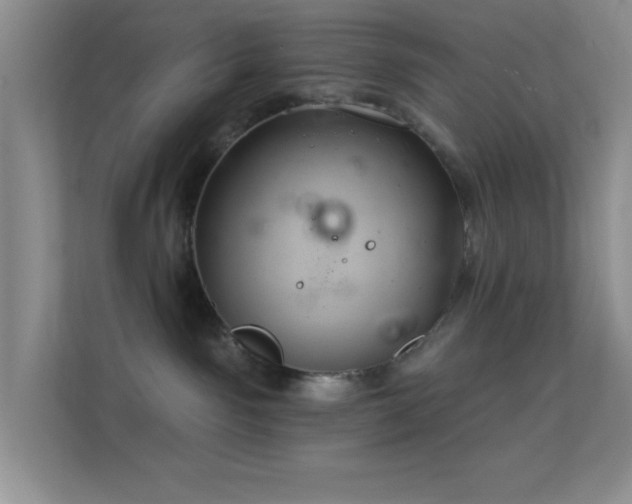 X0000113580141200909251203