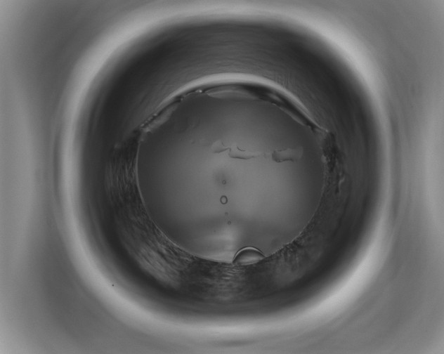 X0000113580143200909251203