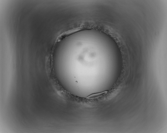 X0000113580144200909251203