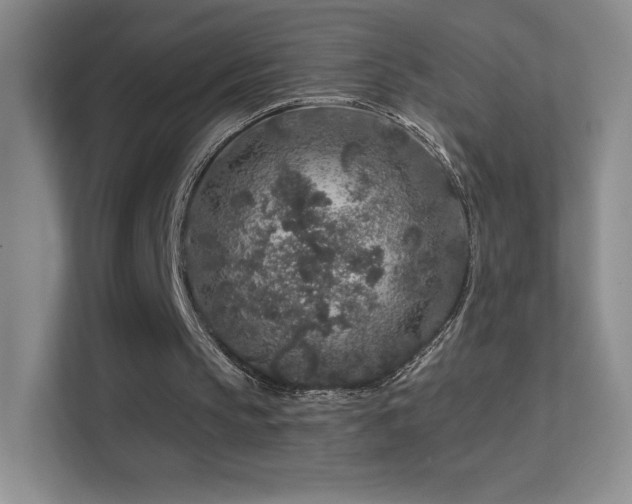 X0000113580145200909251202