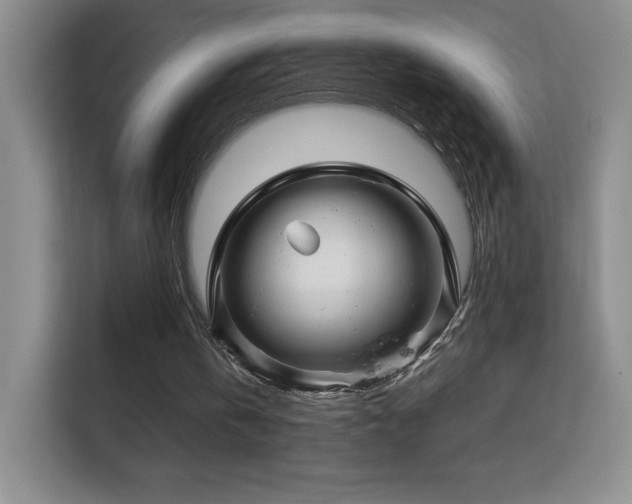 X0000113580146200909251202