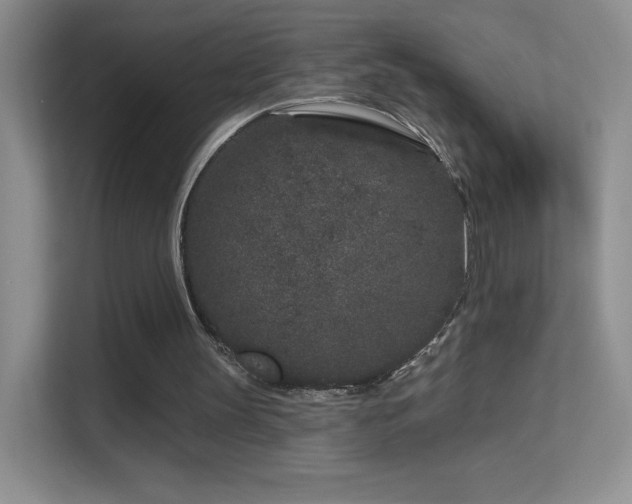 X0000113580147200909251202