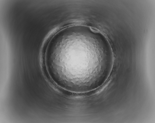 X0000113580149200909251202