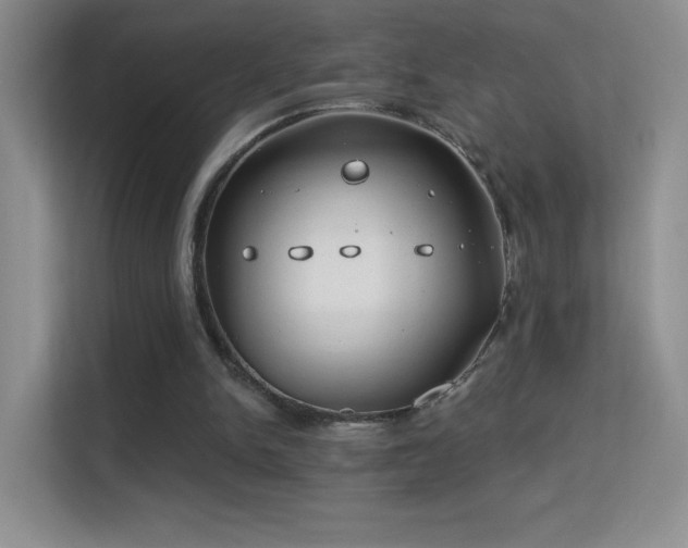 X0000113580150200909251202