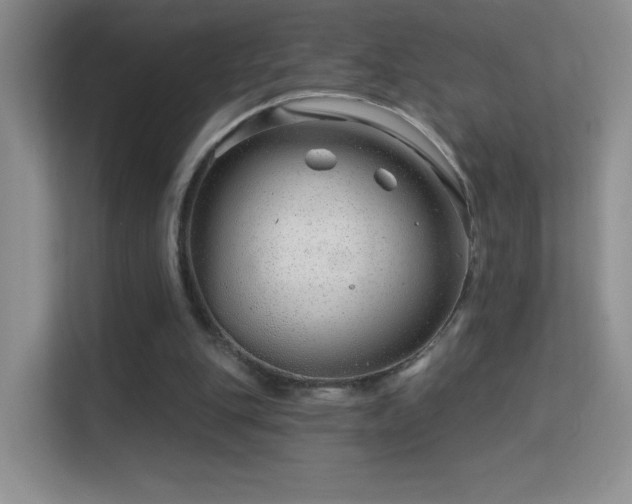 X0000113580151200909251202